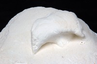 Turkmenia barremica